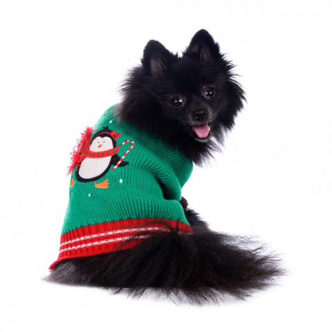 Свитер для собак зелено-красный с пингвином XL 4
