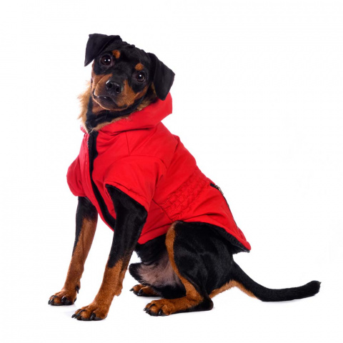Куртка приталенная с меховым капюшоном для собак XS красный (унисекс) 6