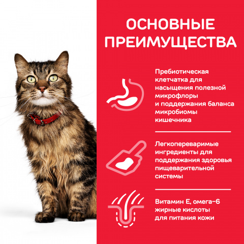 Science Plan Sensitive Stomach Skin сухой корм для кошек для здоровья кожи и пищеварения, с курицей, 400г 3