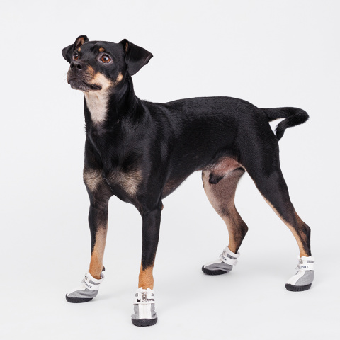 Ботинки для собак, XS, серые (унисекс) 1