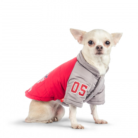 Куртка с капюшоном для собак XS красный (унисекс) 1