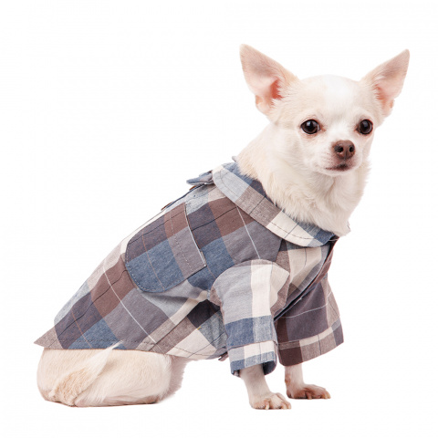 Рубашка с бантиком для собак XS голубой (унисекс)