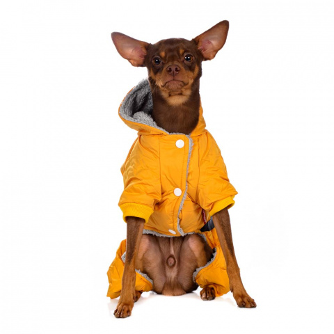Комбинезон с сумочкой для собак 3XL желтый (унисекс) 4