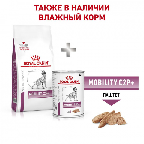 royal canin mobility support js