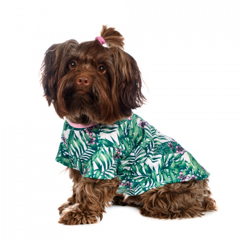 Рубашка для собак с листьями M зеленый (унисекс) 6