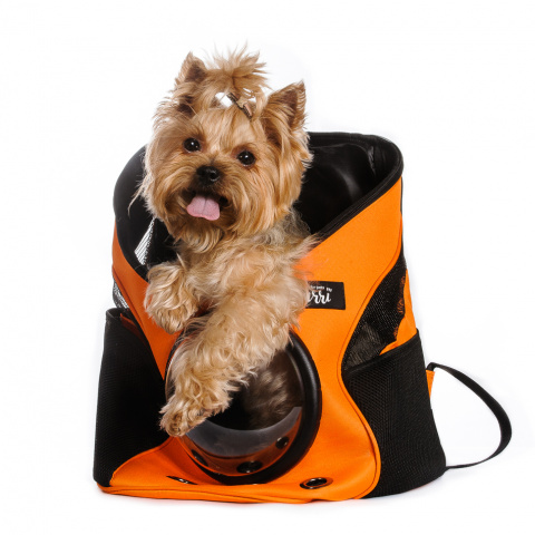 Рюкзак-переноска с окошком для кошек и собак мелкого размера, 35х28х39 см, оранжевый 1