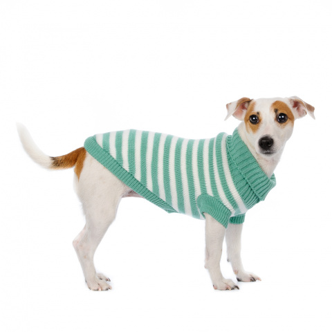 Свитер для собак зеленый полосатый