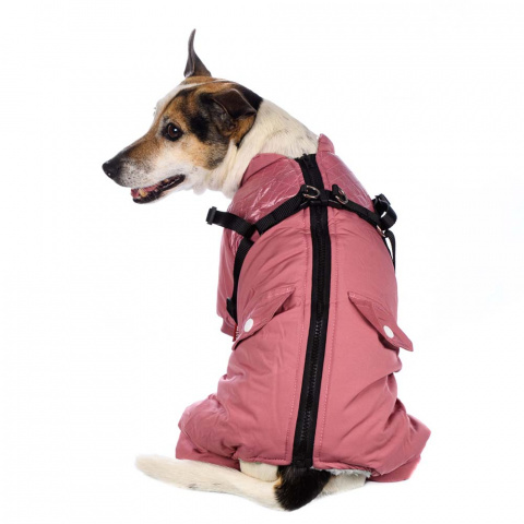 Комбинезон на молнии со шлейкой для собак S розовый (девочка) 2