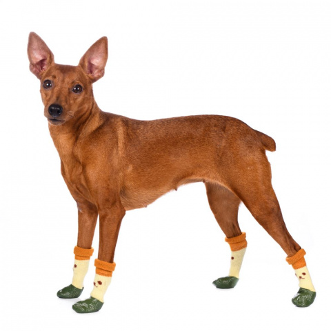 Носки L для собак с прорезиненной подошвой, зеленые
