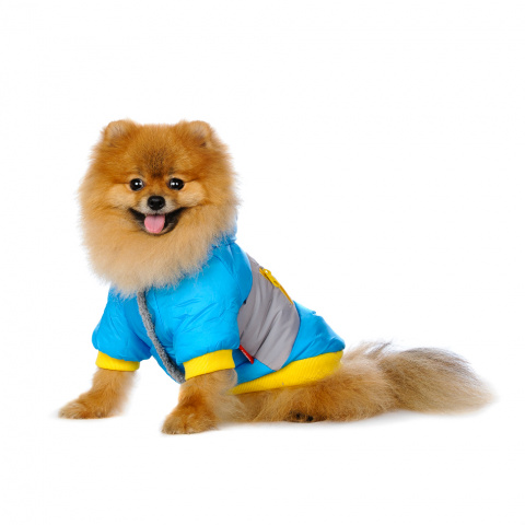 Куртка для собак синяя 2