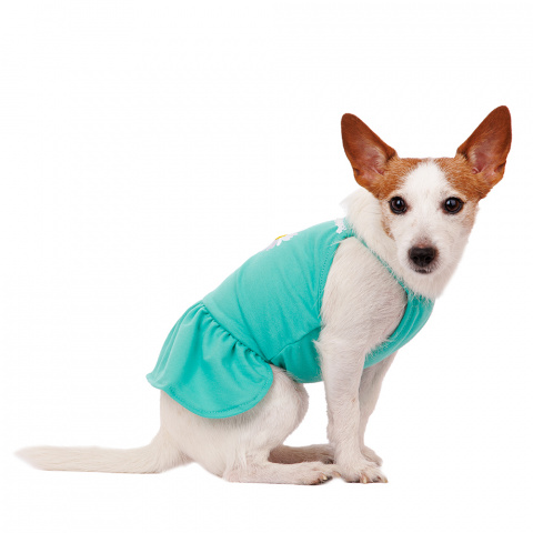 Платье для собак с ромашкой M зеленый (девочка) 1