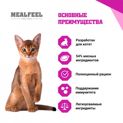 Мягкий стул у котенка 5 месяцев