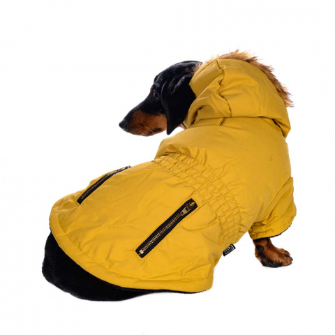 Куртка приталенная с меховым капюшоном для собак XS желтый (унисекс) 2
