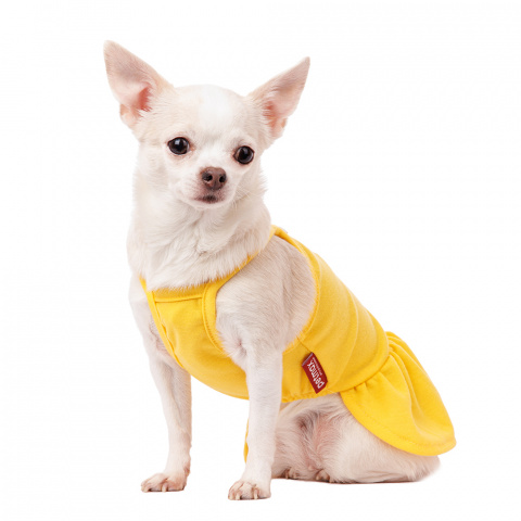 Платье для собак с ромашкой S желтый (девочка) 1