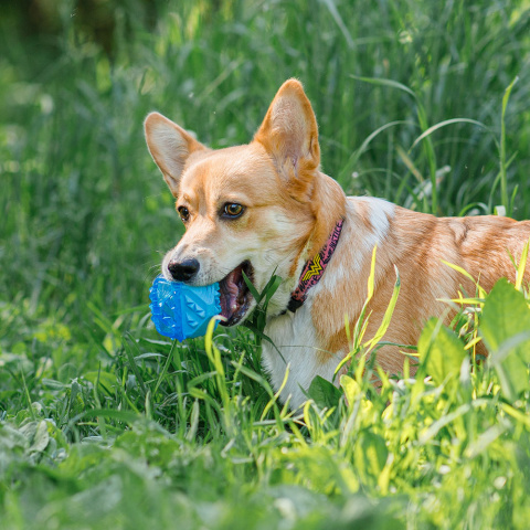 Игрушка для собаки Мяч с эффектом охлаждения 7,5 см 1