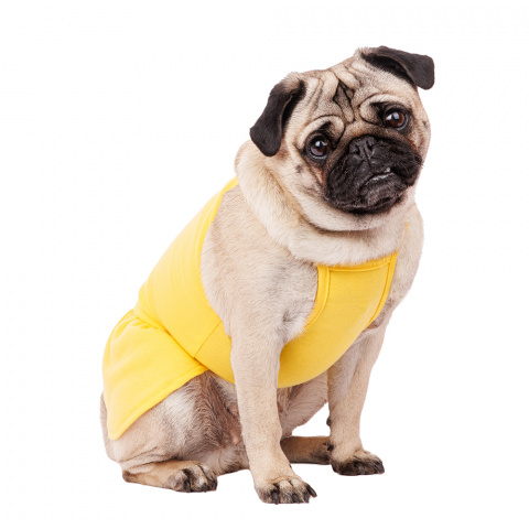 Платье для собак с ромашкой 2XL желтый (девочка) 2