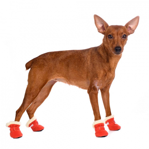 Ботинки замшевые для собак M оранжевый (унисекс) 1