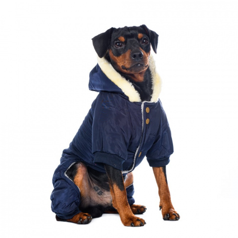 Комбинезон с меховым капюшоном для собак XL синий (унисекс) 6