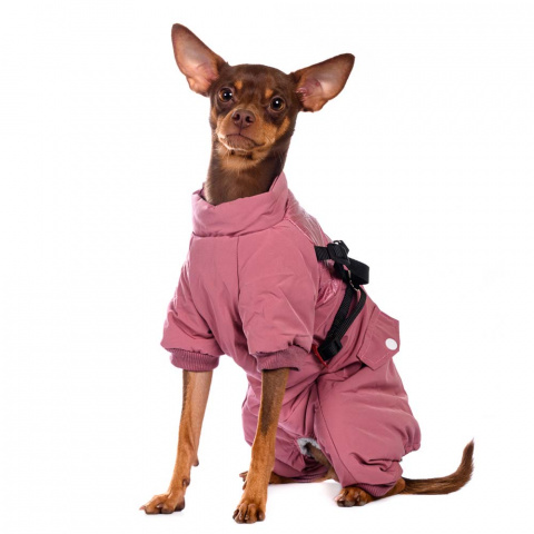 Комбинезон на молнии со шлейкой для собак XS розовый (девочка) 4