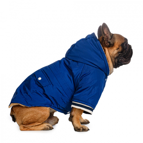 Куртка для собак синяя с капюшоном XS