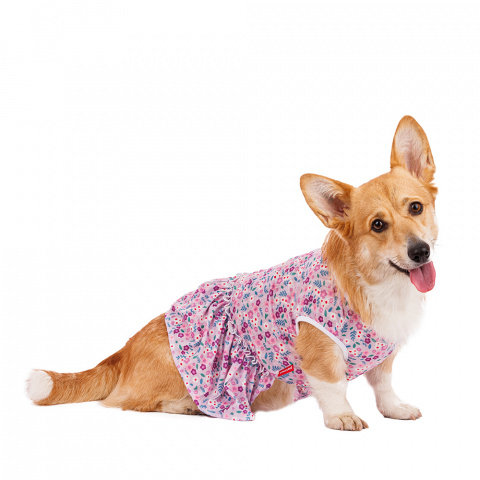 Платье для собак в цветочек 2XL фиолетовый (девочка)