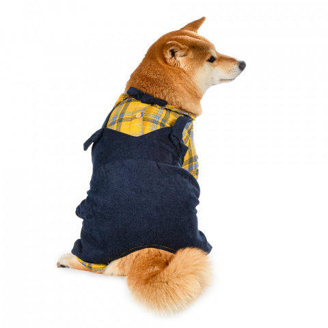 Костюм с рубашкой для собак 2XL желтый (унисекс) 1