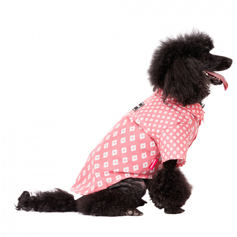 Рубашка для собак XL розовый (унисекс)