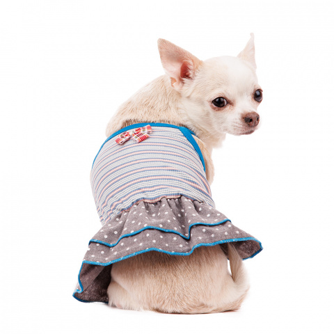 Платье для собак с бантиком S голубой (девочка) 2