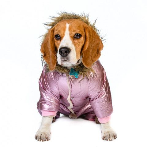 Комбинезон с меховым капюшоном для собак 2XL розовый (девочка) 2