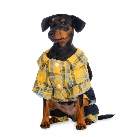 Костюм для собак желтый с рубашкой 1