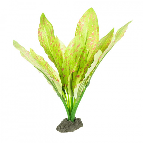 Растение шелковое Эхинодорус Оцелот Грин 20см