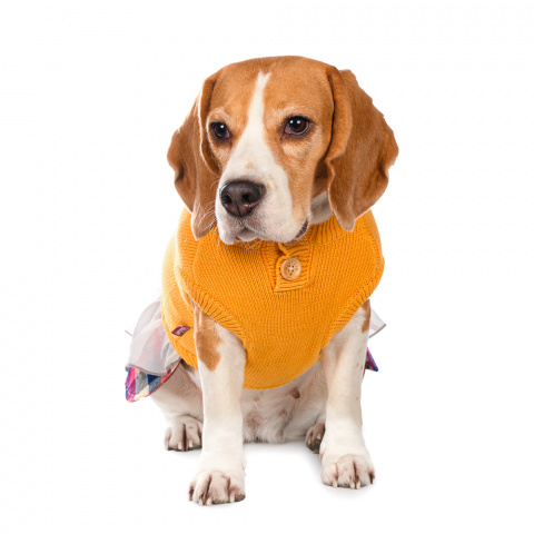 Платье-свитер для кошек и собак 2XL желтый (унисекс) 2