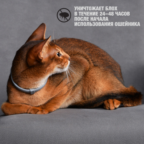 Ошейник для кошек от блох и клещей, 40 см 5