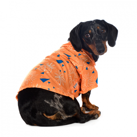 Рубашка для собак с пальмами L оранжевый (унисекс) 6