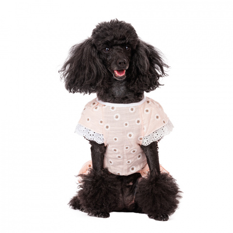 Платье для собак с ромашками XL розовый (девочка) 1