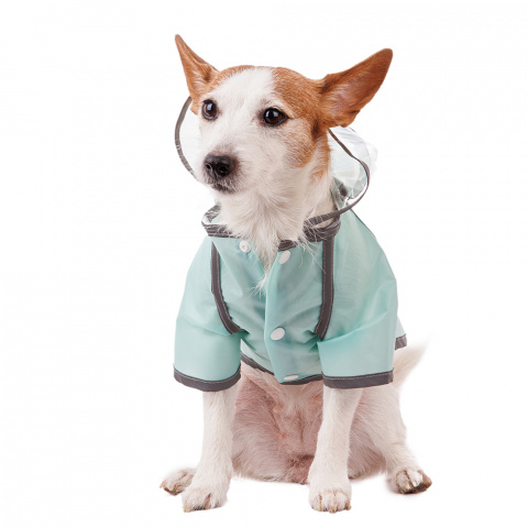 Дождевик для собак с капюшоном L зеленый (унисекс) 1