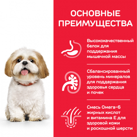 Science Plan Сухой корм для пожилых собак (старше 7 лет) мелких пород для поддержания активности и здоровья желудочно-кишечного тракта, с курицей, 1,5 кг 4