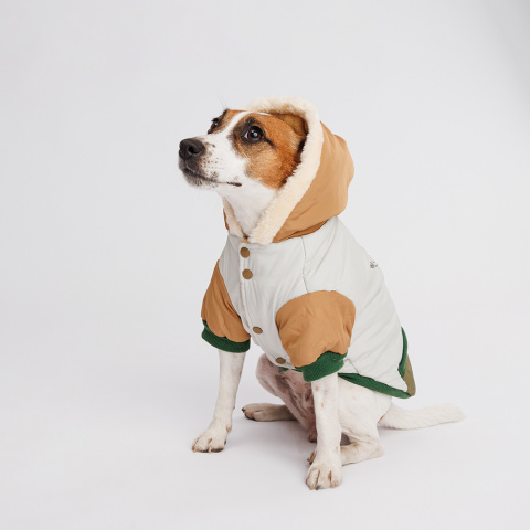 Теплый костюм для собак с капюшоном