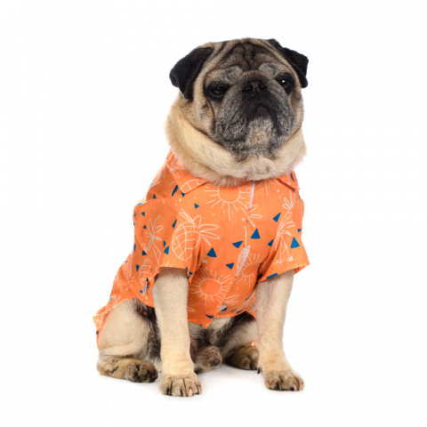 Рубашка для собак с пальмами XL оранжевый (унисекс) 1