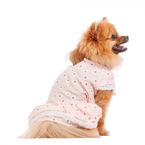 Платье для собак с ромашками XS розовый (девочка) 1