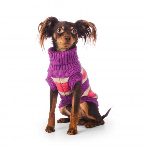 Свитер для собак 25см S фиолетовый (унисекс)