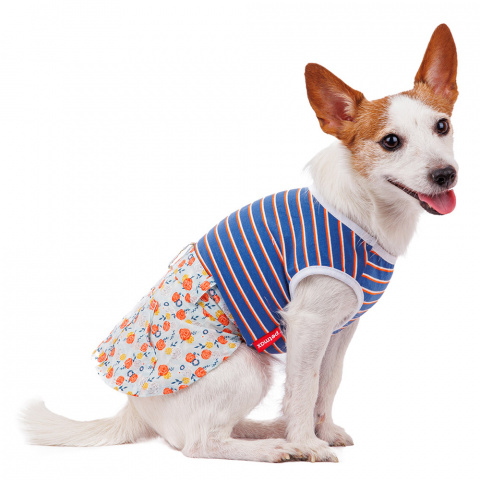 Платье для собак в полоску XL голубой (девочка)