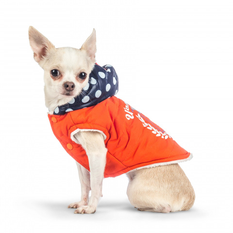 Куртка с капюшоном для собак S оранжевый (унисекс) 2