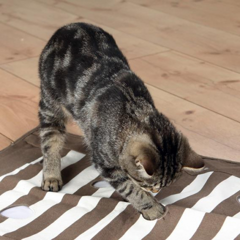 Игрушка для кошек Подстилка Cat Activity, коричневый/кремовый, 70х50 см 1