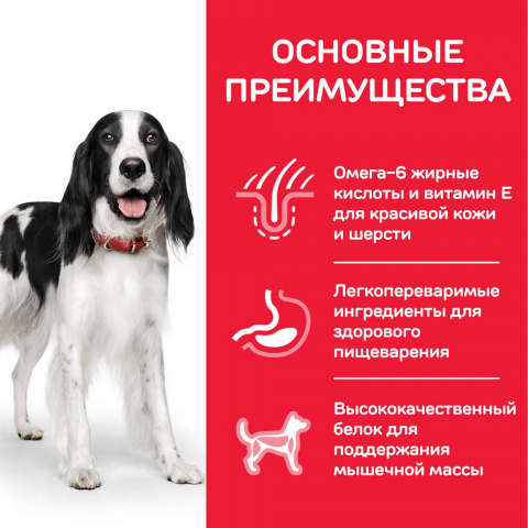 Science Plan Canine Adult консервы для собак, с курицей, 370 г 1