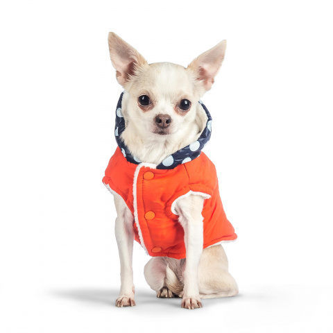 Куртка с капюшоном для собак M оранжевый (унисекс) 1