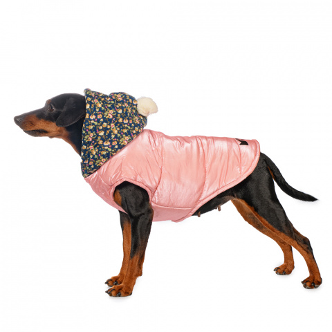 Куртка с капюшоном для собак XL розовый (унисекс)