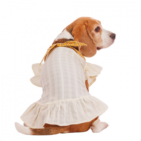Платье Pure Sun для собак с бантиком белое XL