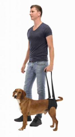 Поддерживающая шлейка для собак, M: 55-65 см/10-25 кг 2
