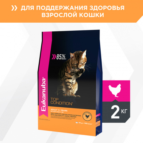 Adult Top Condition корм для кошек старше 1 года, с курицей, 2 кг 2